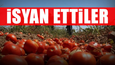 'Burada 1 lira 80 kuruş, İstanbul’da 10 Lira'