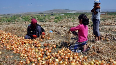Çiftçinin çilesi sürüyor: Pandemide her yer kapalı olduğundan soğanı satamadık, borçsuz kimse yok