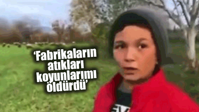 Çobanlık yapan çocuk işçi isyan etti