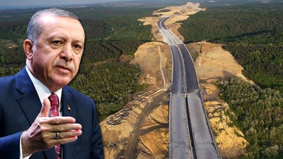 Cumhurbaşkanı istediği araziyi ‘ormanlık alan’ statüsünden çıkarabilecek