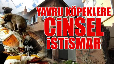 Edirne'de iğrenç iddia...