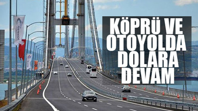 Enerjide destek fiyatları dolardan TL’ye çevrildi