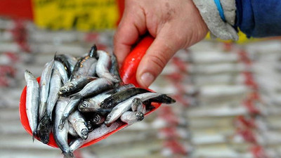 Hamsi yasağı uzatıldı