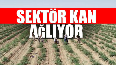 İktidar görmezden geliyor ama tarım üreticisi tükendi