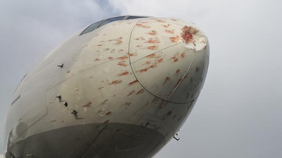 İstanbul’da kuş sürüsüne giren kargo uçağı acil iniş yaptı