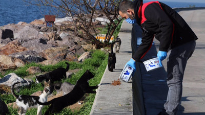 Kartal Belediyesi, 4 günlük kısıtlamada sokak hayvanlarını unutmadı