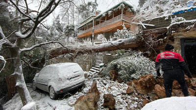 Kartal Belediyesi ekiplerinden devrilen ağaca müdahale