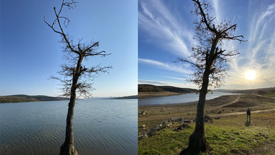 Kuraklığı tüm çıplaklığı ile gösteren fotoğraf