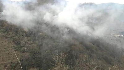 Ordu'da orman yangını