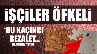 Skandal üstüne skandal... İşçilerin yemeğinden yine böcek çıktı