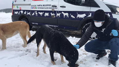 Sokak canları, karlı havada da unutulmadı
