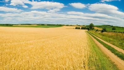 Tarım alanları ranta açılıyor