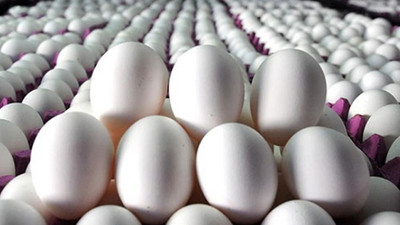 Yumurtanın fiyatı 50 liraya gidiyor