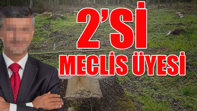 AKP'lilere 'orman talanı' suçlaması