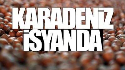 Düşen fındık fiyatlarına üreticilerden tepki