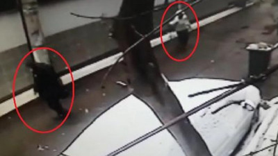 Gazeteciye sokak ortasında silahlı saldırı