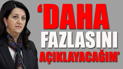 HDP'li Buldan'dan GARA iddialarına yanıt