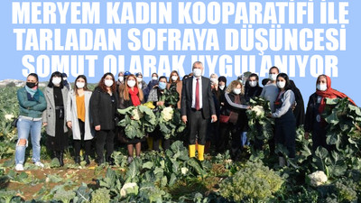 Kadınlar; tarlada, atölyede üretiyor, para kazanıyor