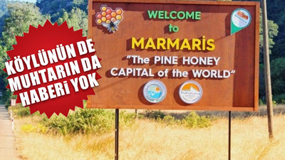 Marmaris’teki bal ormanına ihale