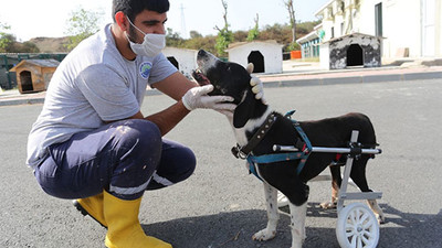 Tekerlekli sandalye bu kez Dost'a umut oldu