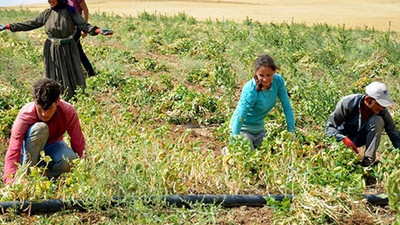 6 milyon öğrenci eğitimden mahrum kaldı