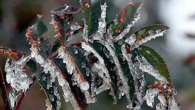 Ankara Valiliğinden 'zirai don' uyarısı