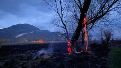 Burdur'da yangın: 50 dönümlük alan kül oldu