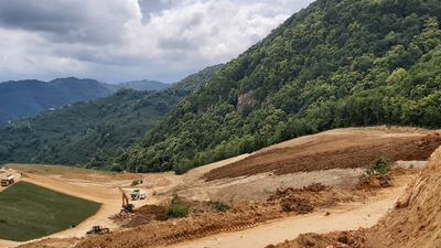 CHP'li Adıgüzel: Fatsa'da ağaç katliamına başladılar