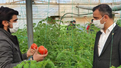 CHP’li Erbay: Rusya’ya domates ihracatı önündeki kota engeli kaldırılması için gerekli girişimler başlatılmalı