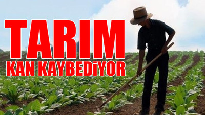 Çiftçi destek beklerken milyonluk SMS satın alındı