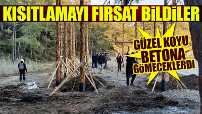 Dünyaca ünlü koyda 'kaçak inşaat' çalışması yaptılar