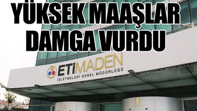 Genel müdürün 13 bin 500 euro maaşı denetim dışı mı kalacak?
