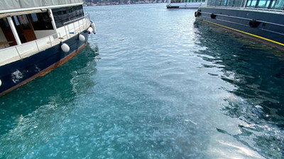 İstanbul Boğazı yine denizanası istilasına uğradı