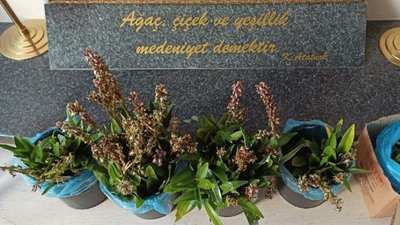 İzinsiz topladılar, 160 bin lira ceza yediler