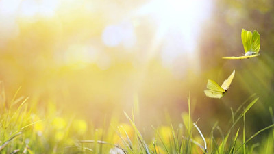 Meteoroloji hava tahminini açıkladı: İşte 1 Mart hava durumu...