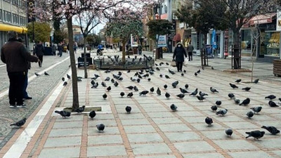 Olağanüstü artışını yaşandığı kentte, vakaların sebebi şaşkına çevirdi
