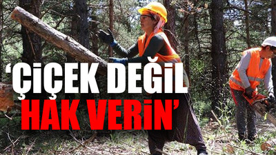 Orman işçisi kadınlar, sendikal hakları için seslendi