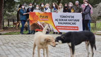 Pati Koruyucuları derneği 3 ayda 40 ton mama ile 1 40 bin sokak hayvanını besledi