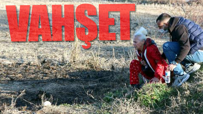 Sekiz yavru köpeği yakarak öldürdüler