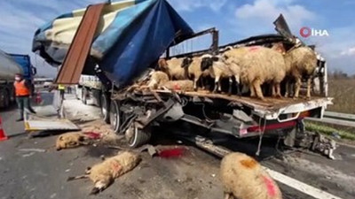 TEM’de 2 tır çarpıştı İstanbul istikameti trafiğe kapandı