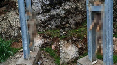 Tilkiyi öldürüp elektrik direğine astılar