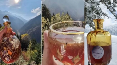 Türkiye'de mağarada toplanan kantaron balı Guinness Rekorlar Kitabı'na girdi