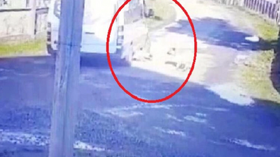 Yolda yatan köpeği üzerinden geçerek yaralayan sürücüye para cezası 