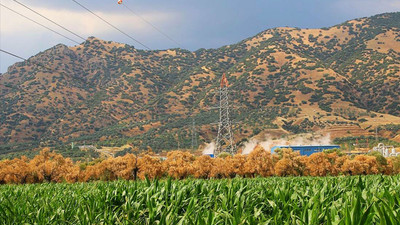 Bilirkişinin "Ağaçları JES kuruttu" raporuna rağmen mahkeme şirketi suçsuz buldu