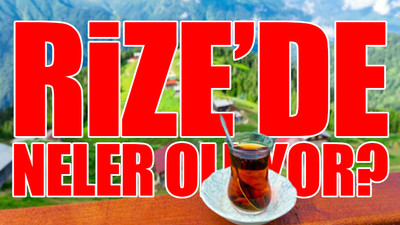 Bir köyde 5 intihar vakası yetkilileri harekete geçirdi