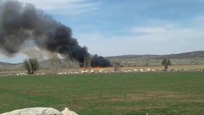 Çorum'daki ‘kuş cenneti'nde korkutan yangın