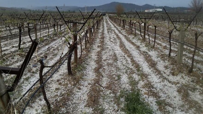 Dolu yağışı, 5 dakikada binlerce dekar tarım arazisini etkiledi