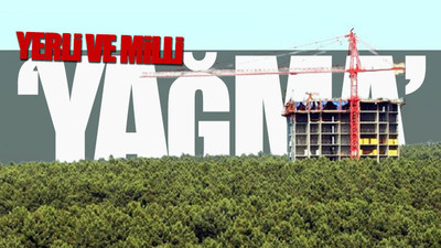 İktidarın 19 yıllık 'talan' raporu ortaya çıktı: Kamu arazileri kimlere gitti?