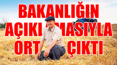 İşte iktidarın çitçiye hak gördüğü destek miktarı