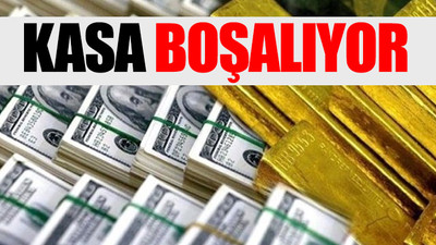 Merkez Bankası'nda hem döviz hem de altın rezervi eridi